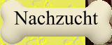 Nachzucht