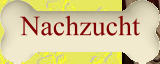 Nachzucht