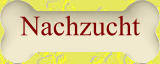 Nachzucht