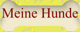 Meine Hunde